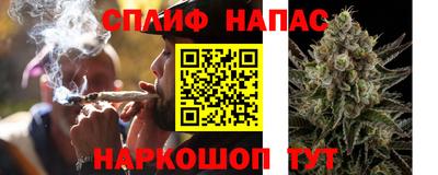 apvp Тулун