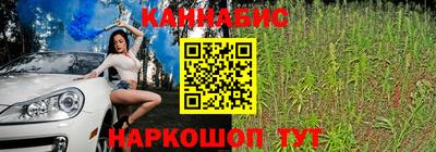 apvp Тулун
