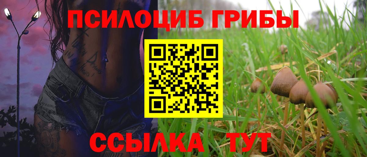 где можно купить   Псилоцибиновые грибы MAGIC MUSHROOMS  Вход с VPN  Менделеевск 