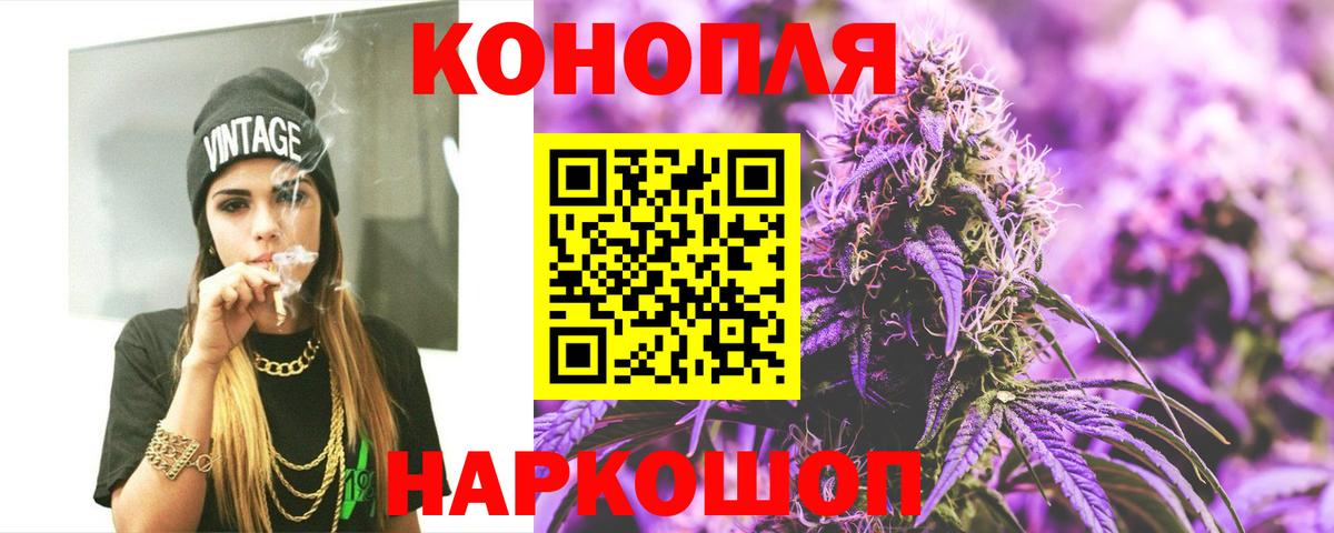 Каннабис сатива Менделеевск
